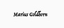 marius goldhorn