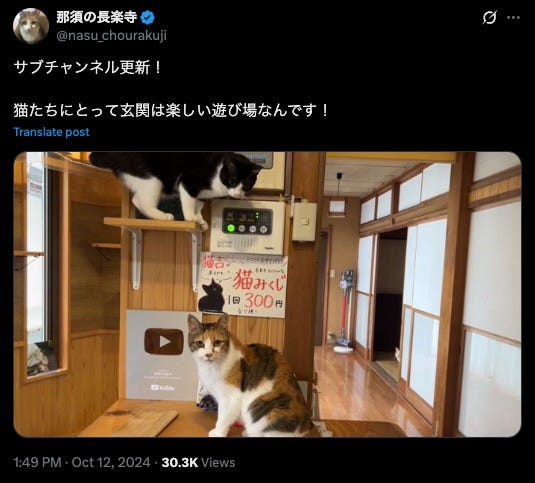 A tweet with cats playing in the entranceway of a Japanese house and the words 猫たちにとって玄関は楽しい遊び場なんです!