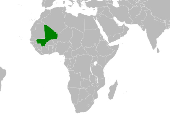 Mali continues to report higher-than-normal numbers of dengue cases Mali continues to report higher-than-normal numbers of dengue cases