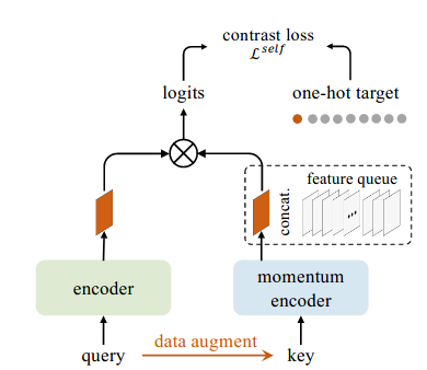 Easily Explained: Momentum Contrast for Unsupervised Visual Representation  Learning (MoCo) | by Nour Eldin Alaa | Medium