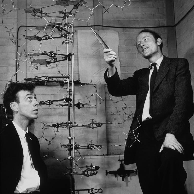 Black and white image of James Watson and Francis Crick with their model of part of a DNA molecule, 1953 Black and white image of James Watson and Francis Crick with their model of part of a DNA molecule, 1953