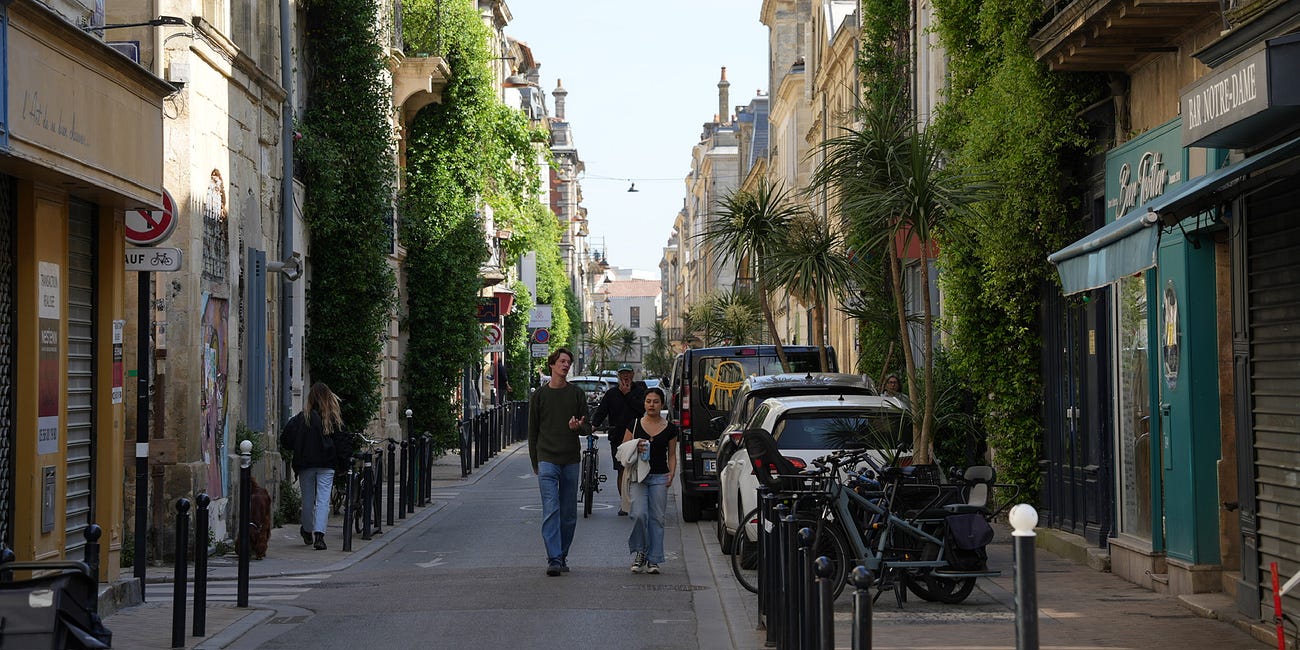 Climbing plants in Bordeaux