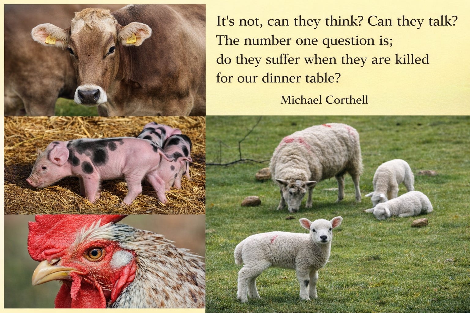 The Only Question That Matters - by Michael Corthell