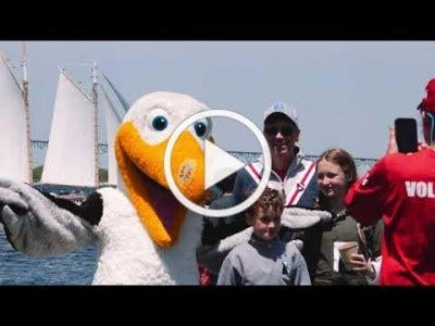 Thousands of visitors enjoy Ocean Live Park on Sunday