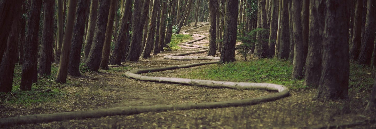 A winding path through leaning trees in a shadowed forest — the way is not straight, but it is true. An invitation to listen before you step.