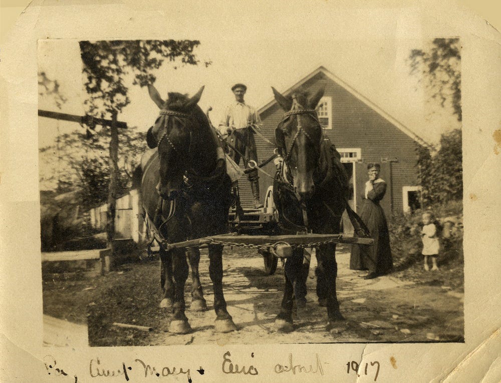 A couple of horses pulling a carriage
Description automatically generated A couple of horses pulling a carriage
Description automatically generated