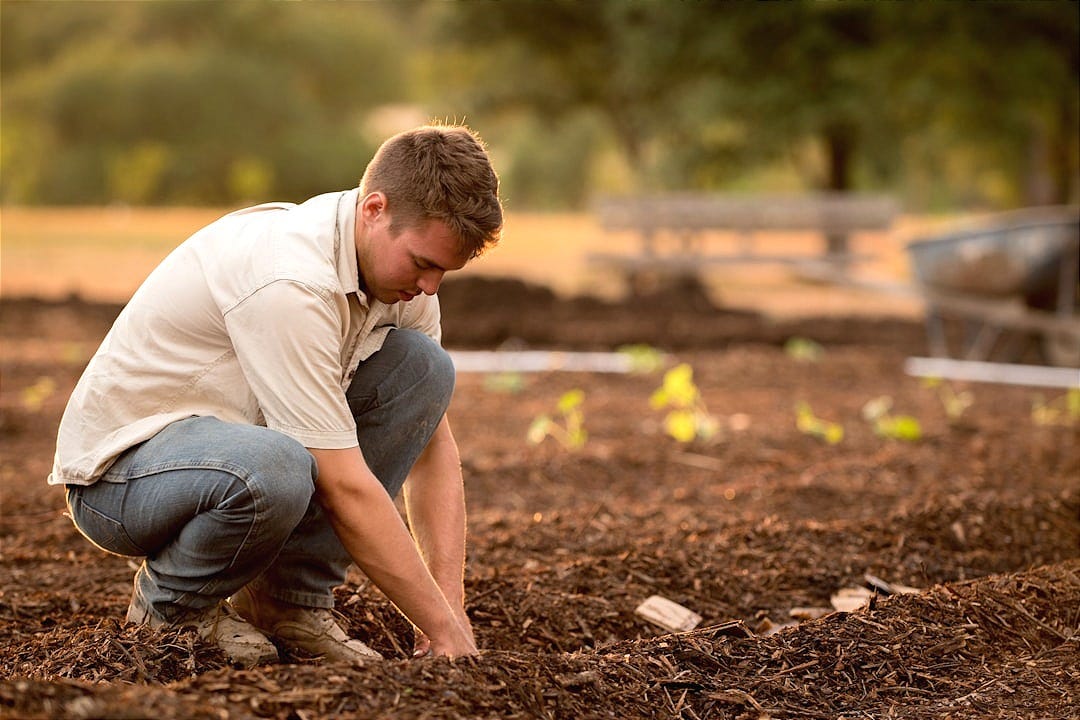 man in white shirt planting at daytime man in white shirt planting at daytime