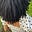 Don’t Listen to Me's avatar