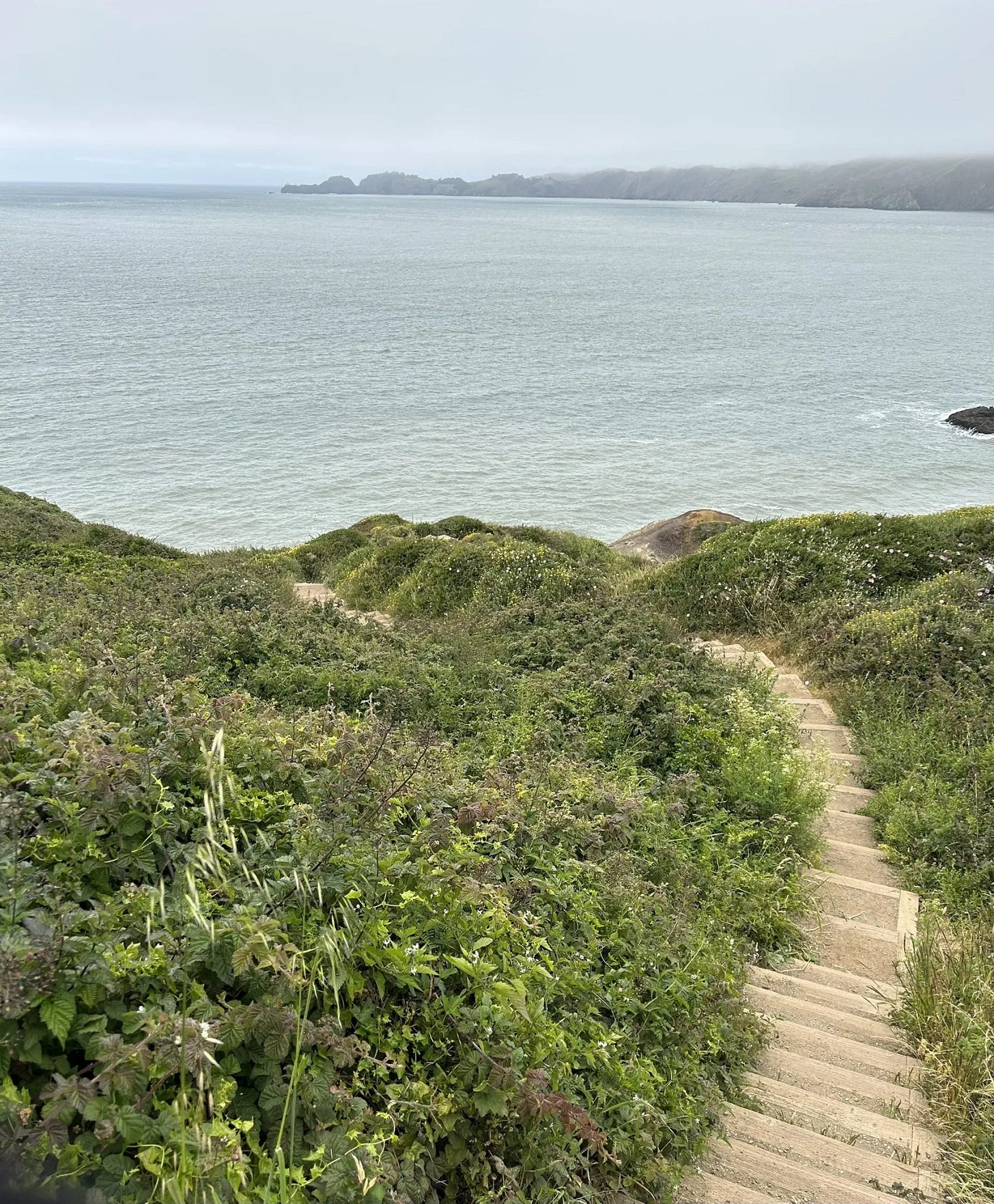 Photo of a trail from William Brown with title Batteries to Bluffs Trail