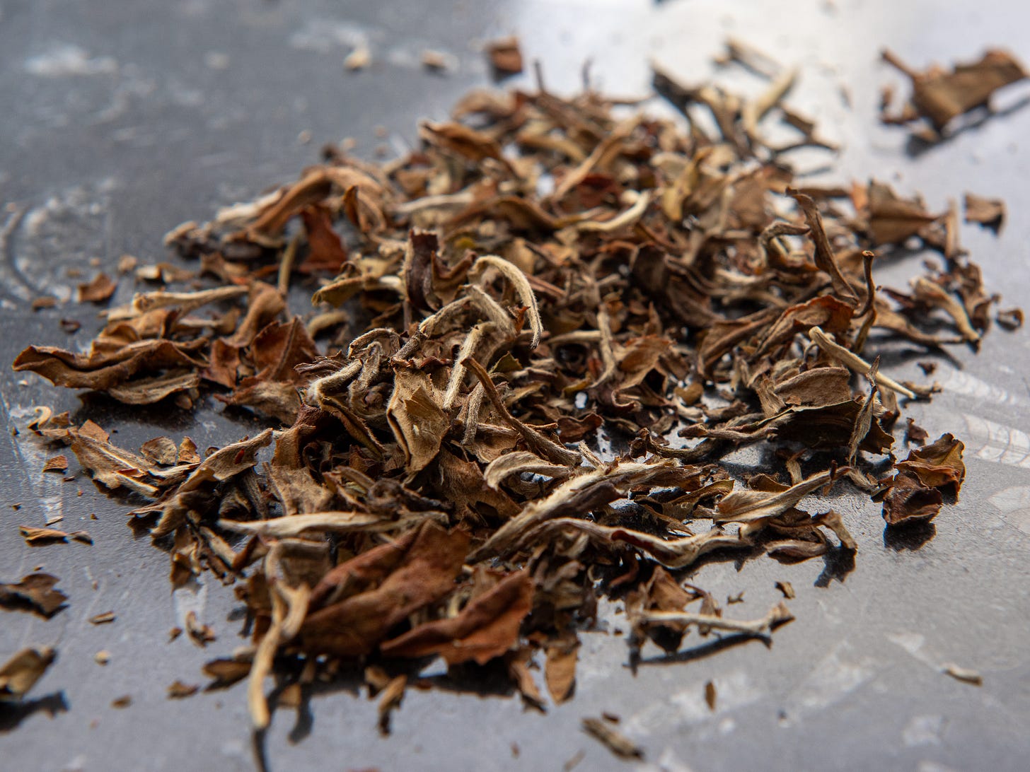 ID: Aged white tea dry leaves