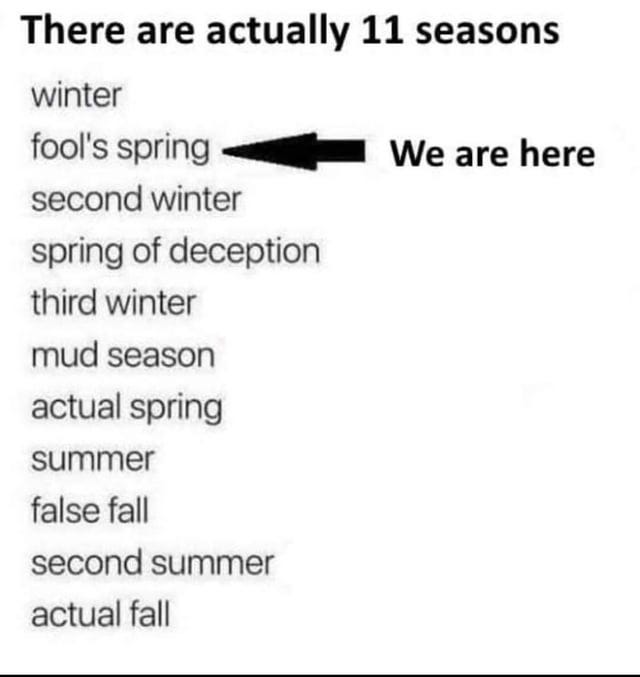 Fool's spring! : r/minnesota Fool's spring! : r/minnesota