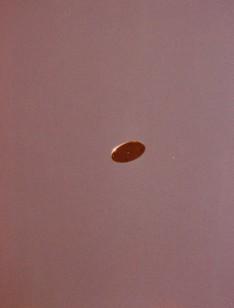 Colfax UFO Photo #5 (credit: UFO Photo Archive)