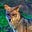 My MMM's avatar