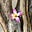 phoenixkarmaqueen's avatar