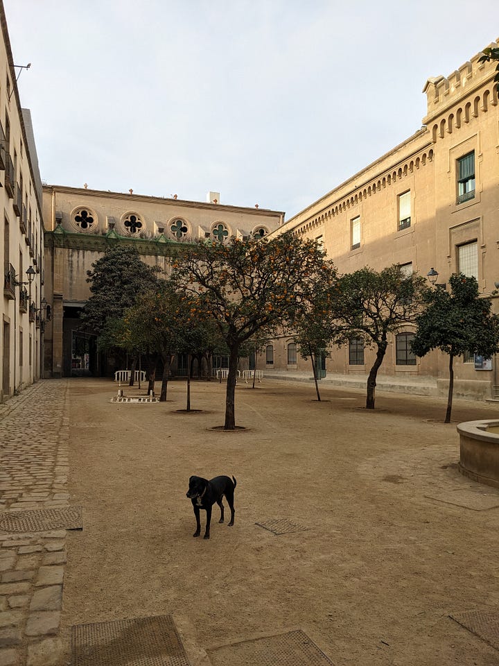 Il Giardino Botanico e un cortile nel Barrio Xino