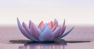 What Is the Lotus Flower's Meaning in Christianity? What Is the Lotus Flower's Meaning in Christianity?