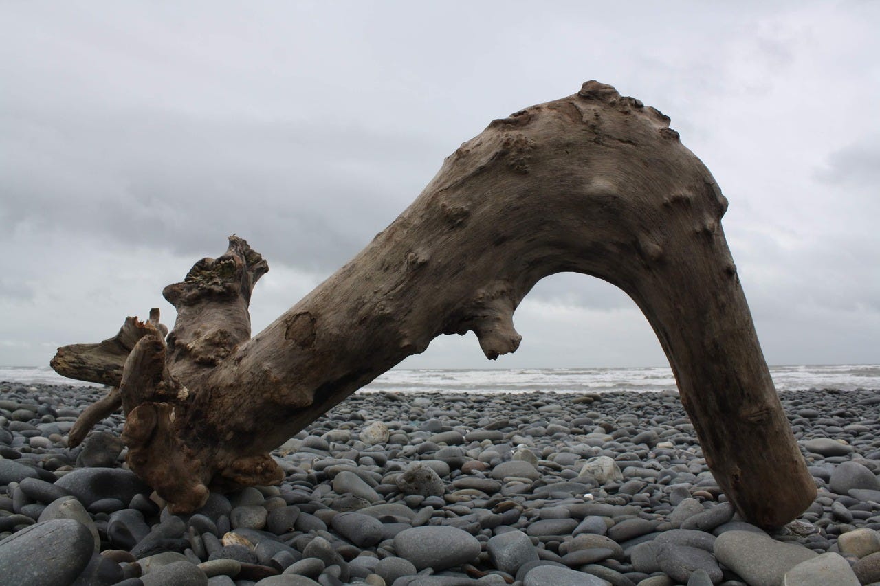 Driftwood on the beach at Borth