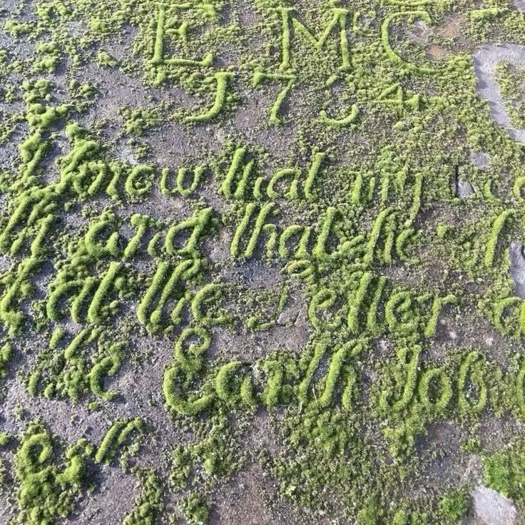 This may contain: an aerial view of moss growing on the ground with words written in cursive writing