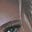 Cara Kaye Neumi's avatar