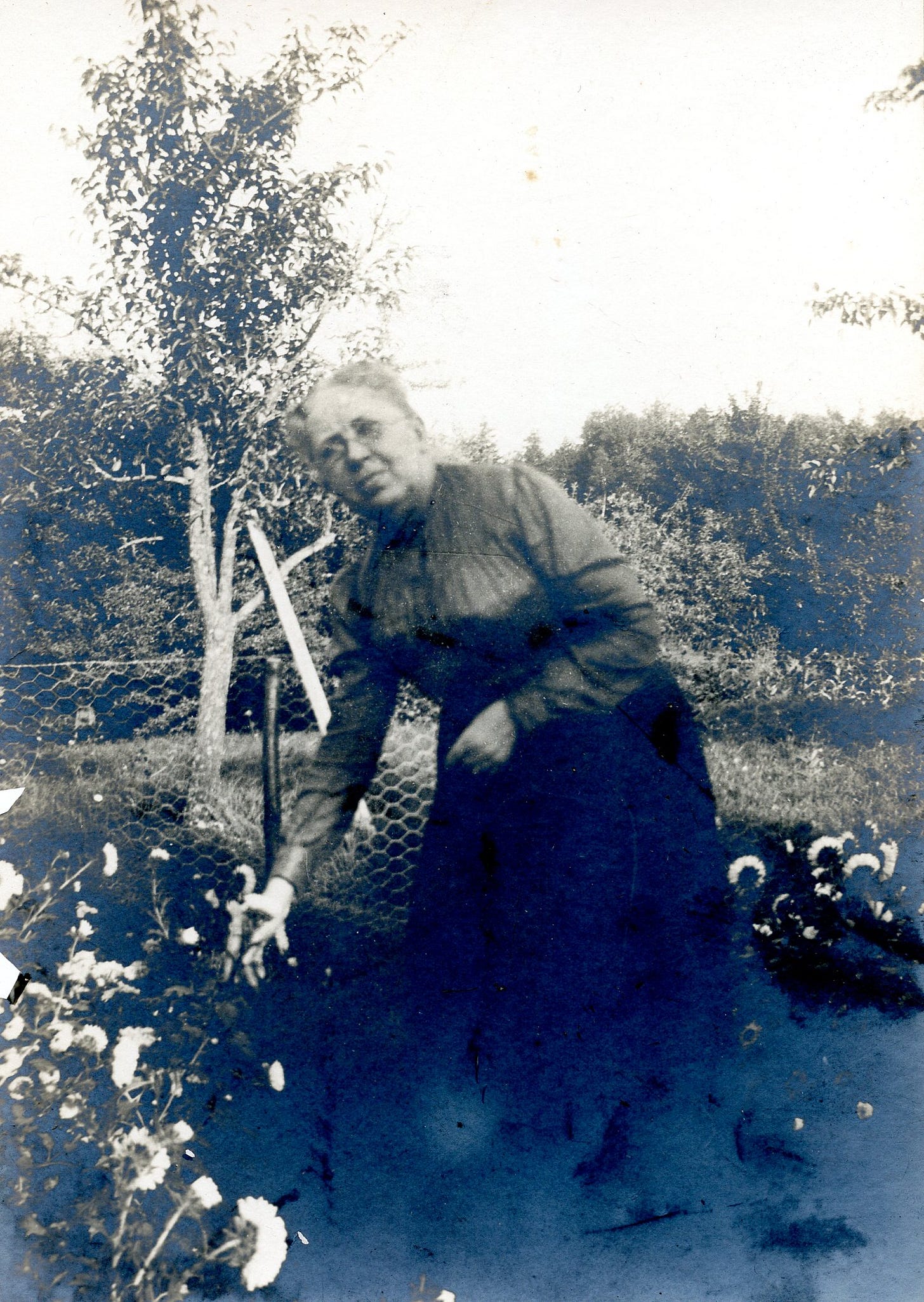 Women picking flowers