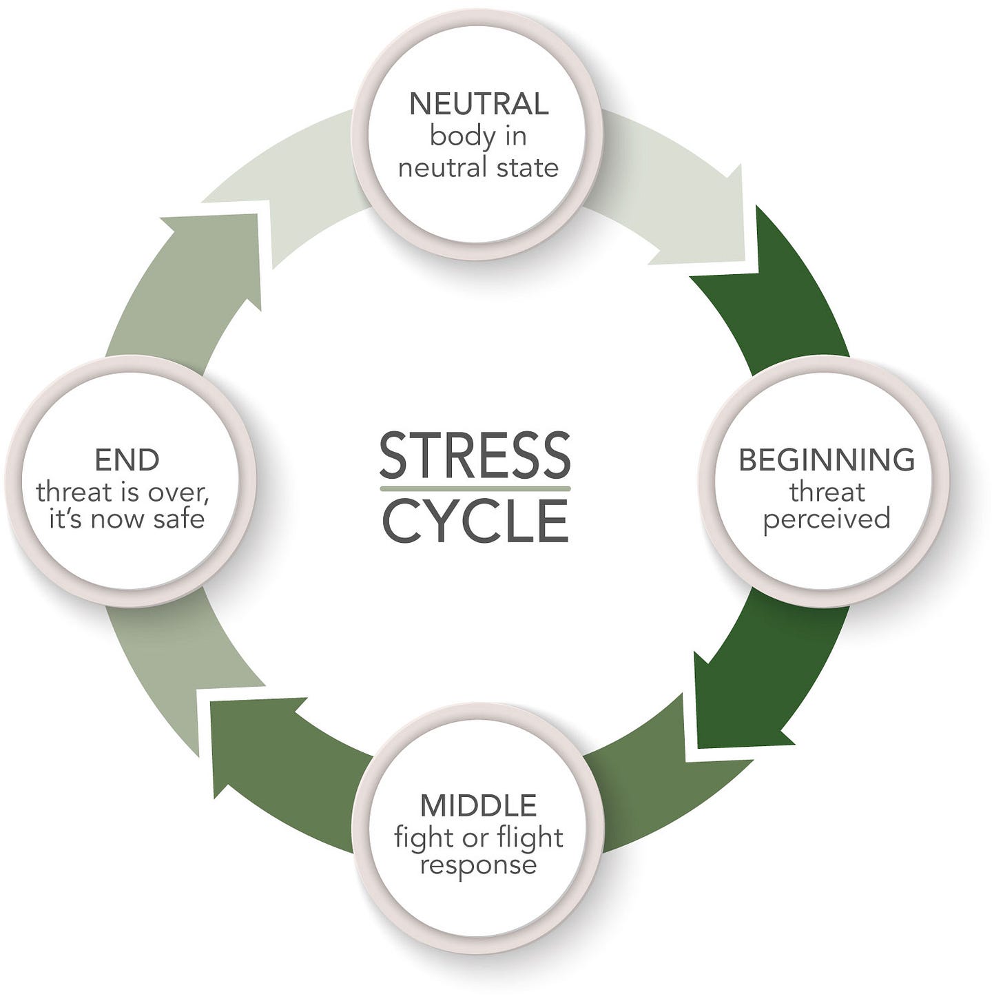 Stress Management - Resolving the Stress Cycle - St. Francis Herb Farm -