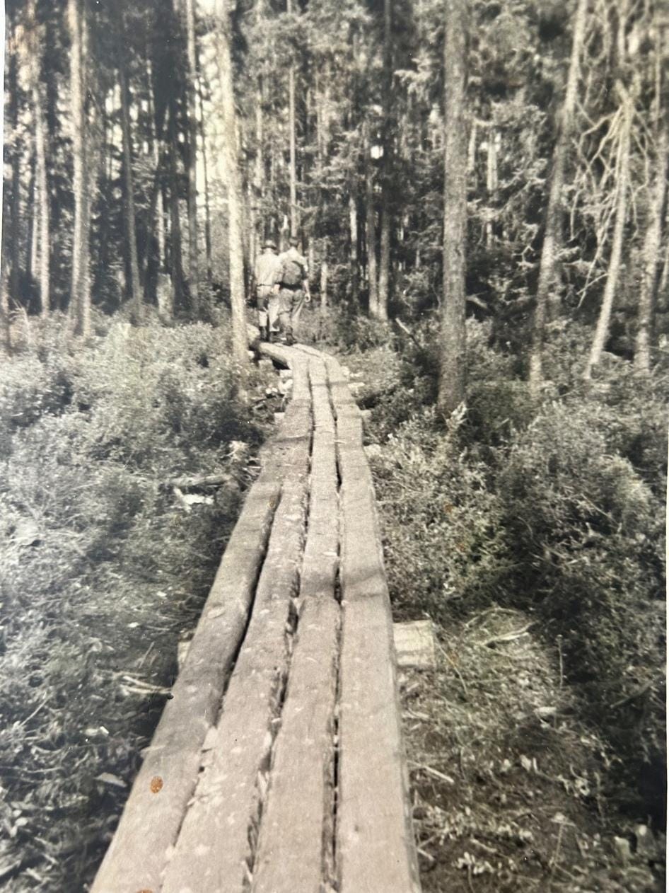 A wooden bridge in the woods
Description automatically generated A wooden bridge in the woods
Description automatically generated