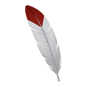 REAL Indigenous Report