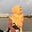 Shamaila Usmani's avatar