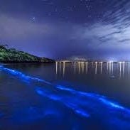 Artwork for Everest’s Substack