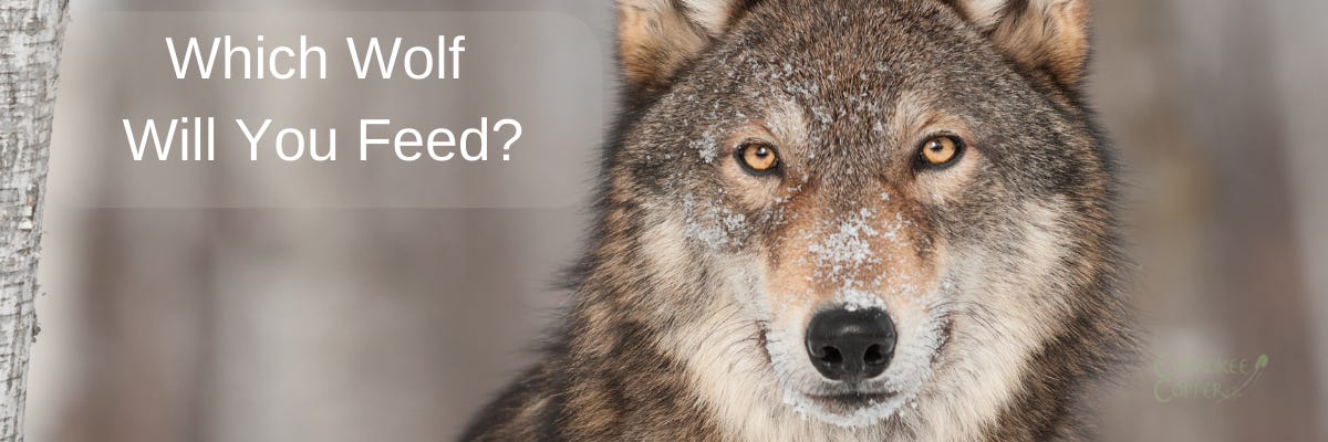 The Wolf You Feed - Which Wolf Will You Feed? – Cherokee Copper The Wolf You Feed - Which Wolf Will You Feed? – Cherokee Copper