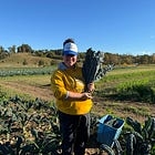 what do I do with all of these greens??