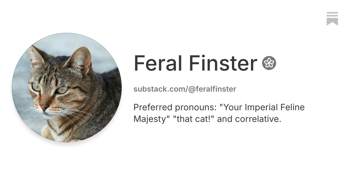 Feral Finster | Substack