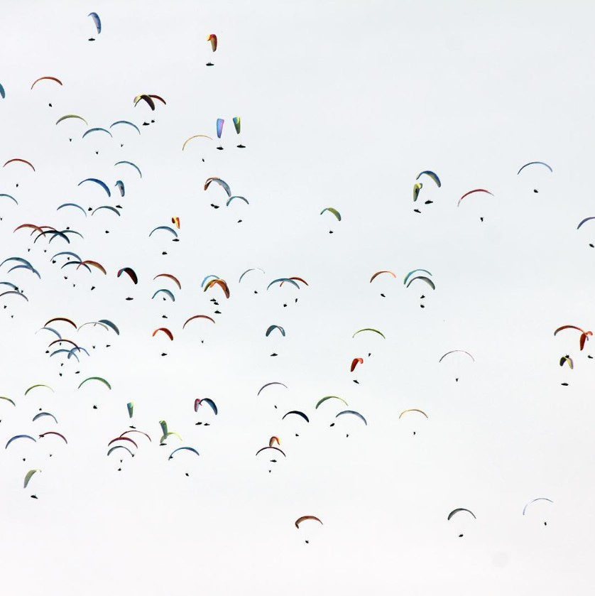 Paragliders. Photo copyright Alia Parker. Paragliders. Photo copyright Alia Parker.