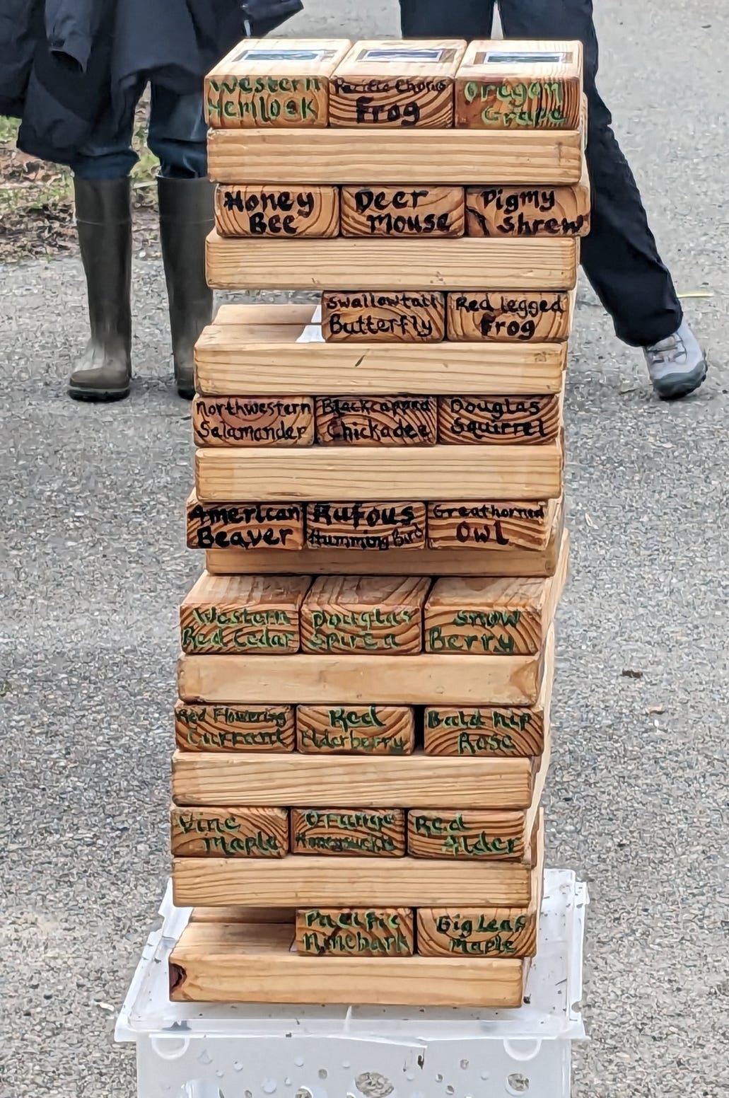 Ecosystem Jenga game