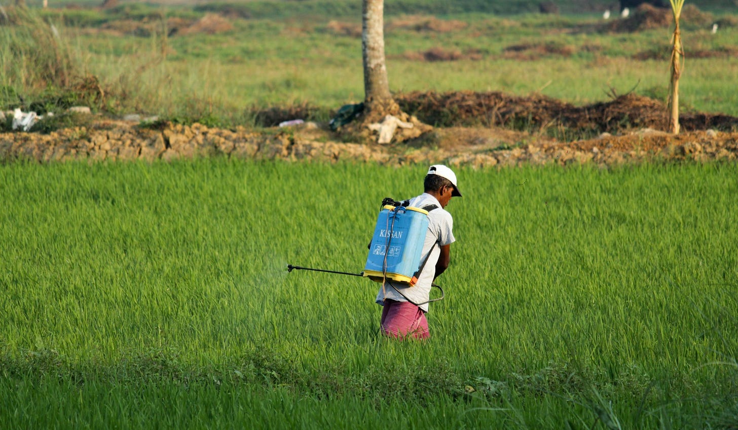 man in white t-shirt and blue denim shorts with blue backpack walking on green grass spraying pesticides