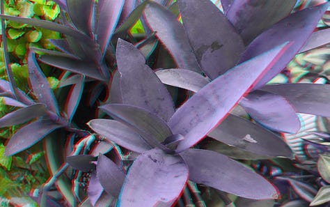 anaglyphs!