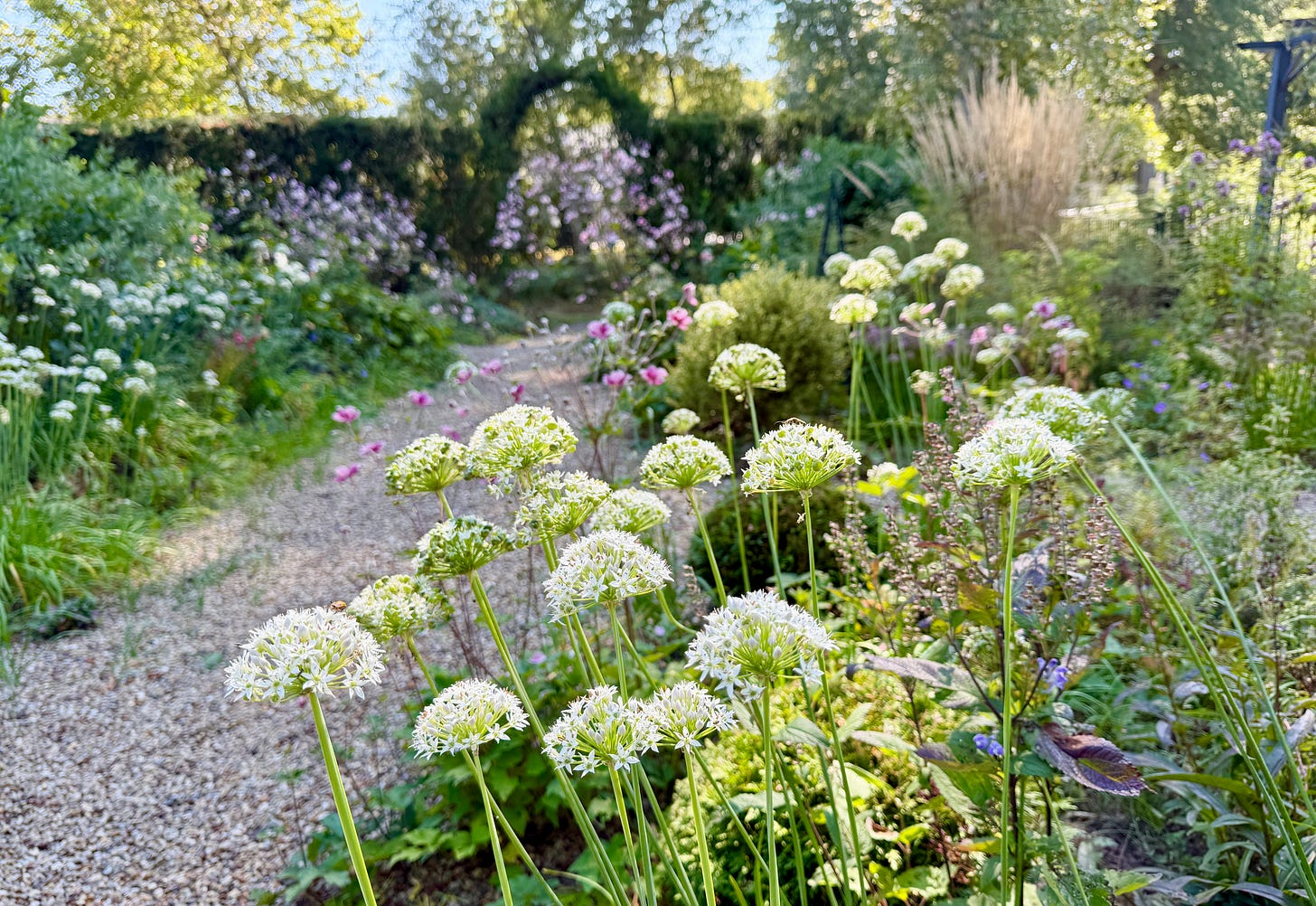 Havenwood’s Cottage Garden this week!