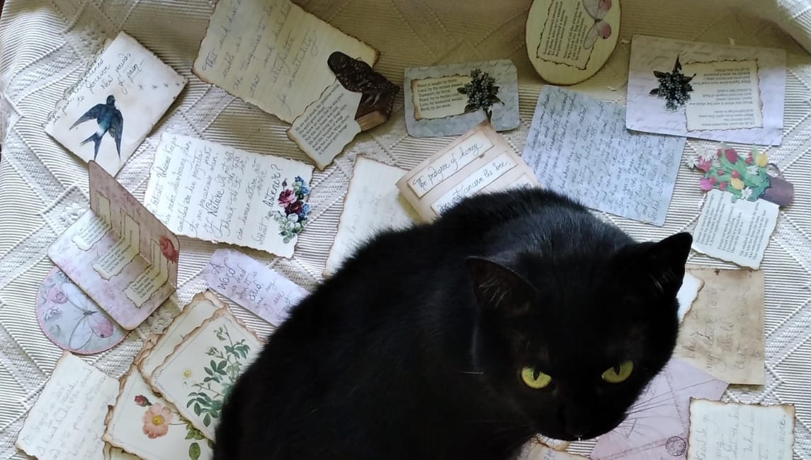 60 Poesie di Emily Dickinson per voi