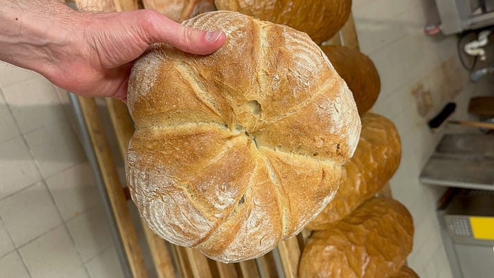 A small selection of bread from Germany.