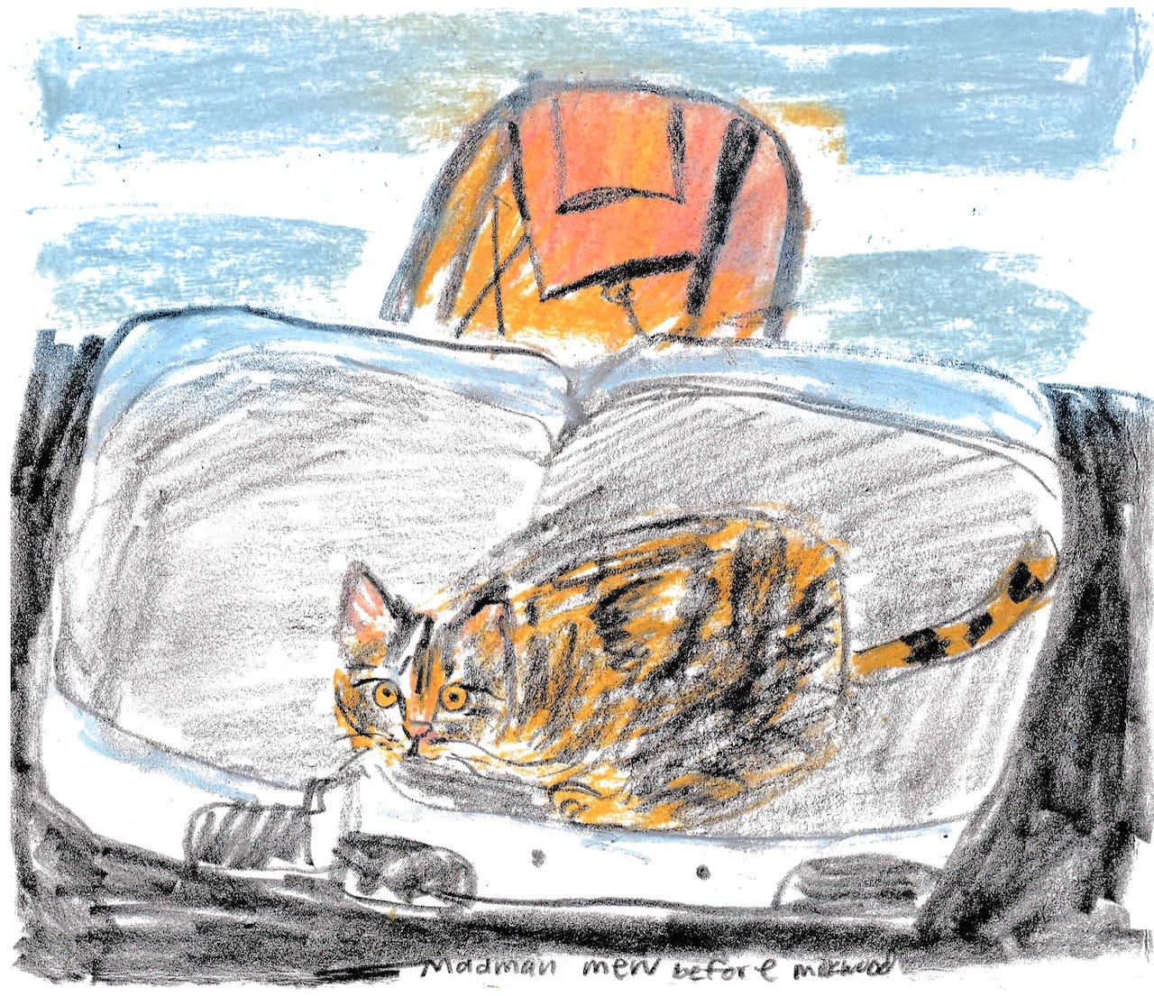 cat in suitcase illustration by Beth Spencer