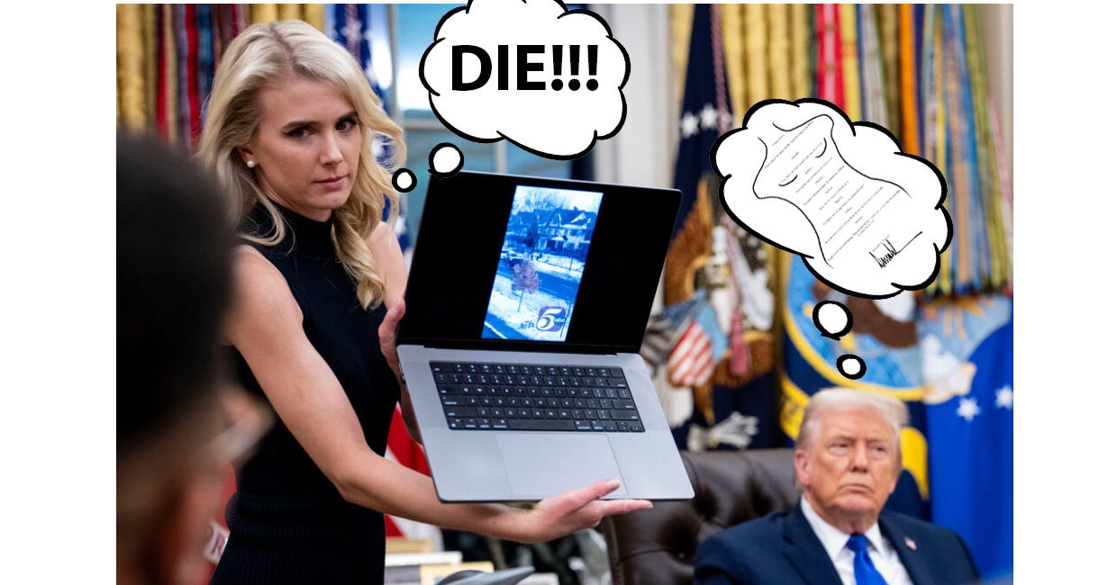 The New York Times' Two Hour Trump "Interview" Was a MasterClass in Sanewashing