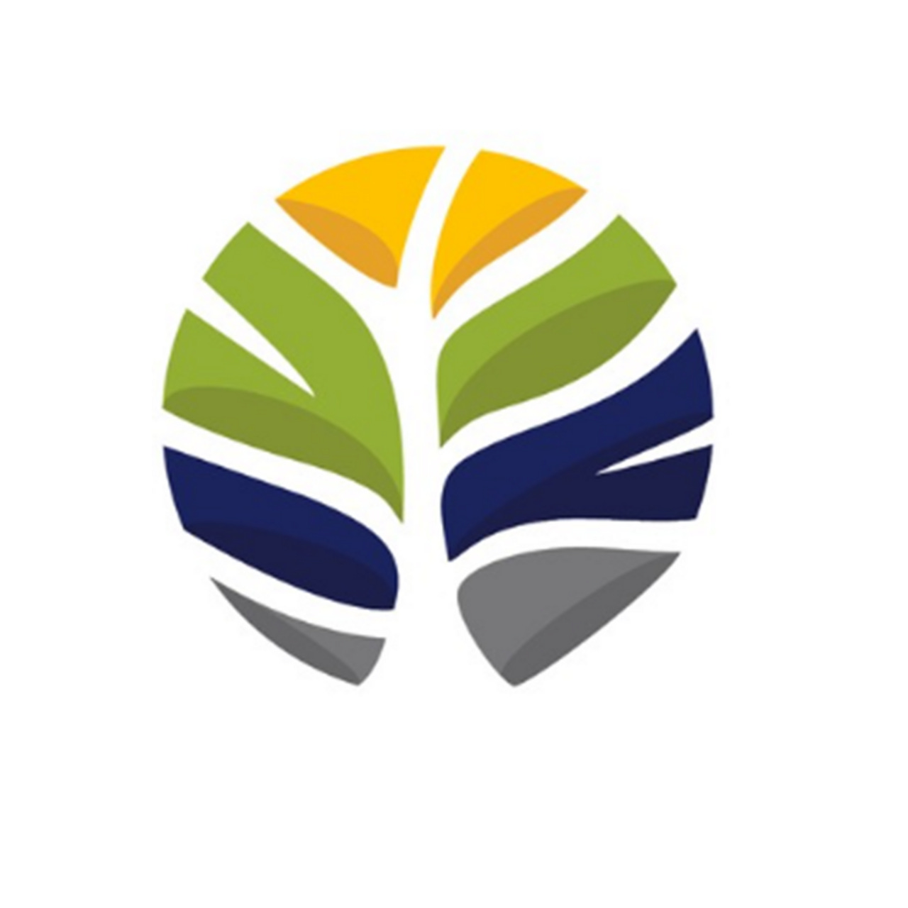 Resilient Career Academy