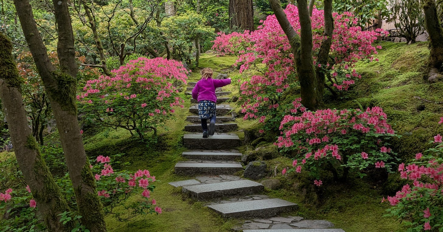 Small child climbing stone steps in Portland, Oregon's japanese garden in springtime, surrounded by lush green moss and blooming azaleas.