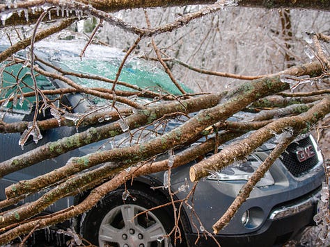 Ice damage in 2008