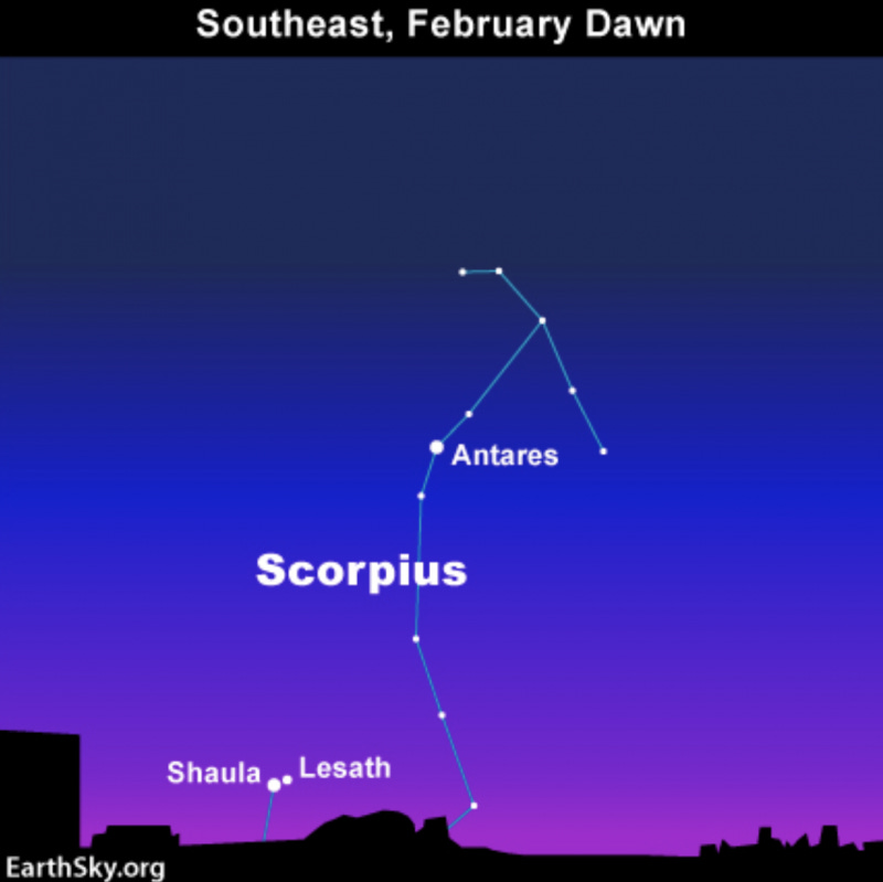 Star chart: 2 stars very close together just over the horizon in the dawn sky.