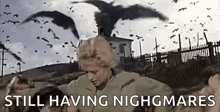 Bird Alfred Hitchcock GIFs | Tenor