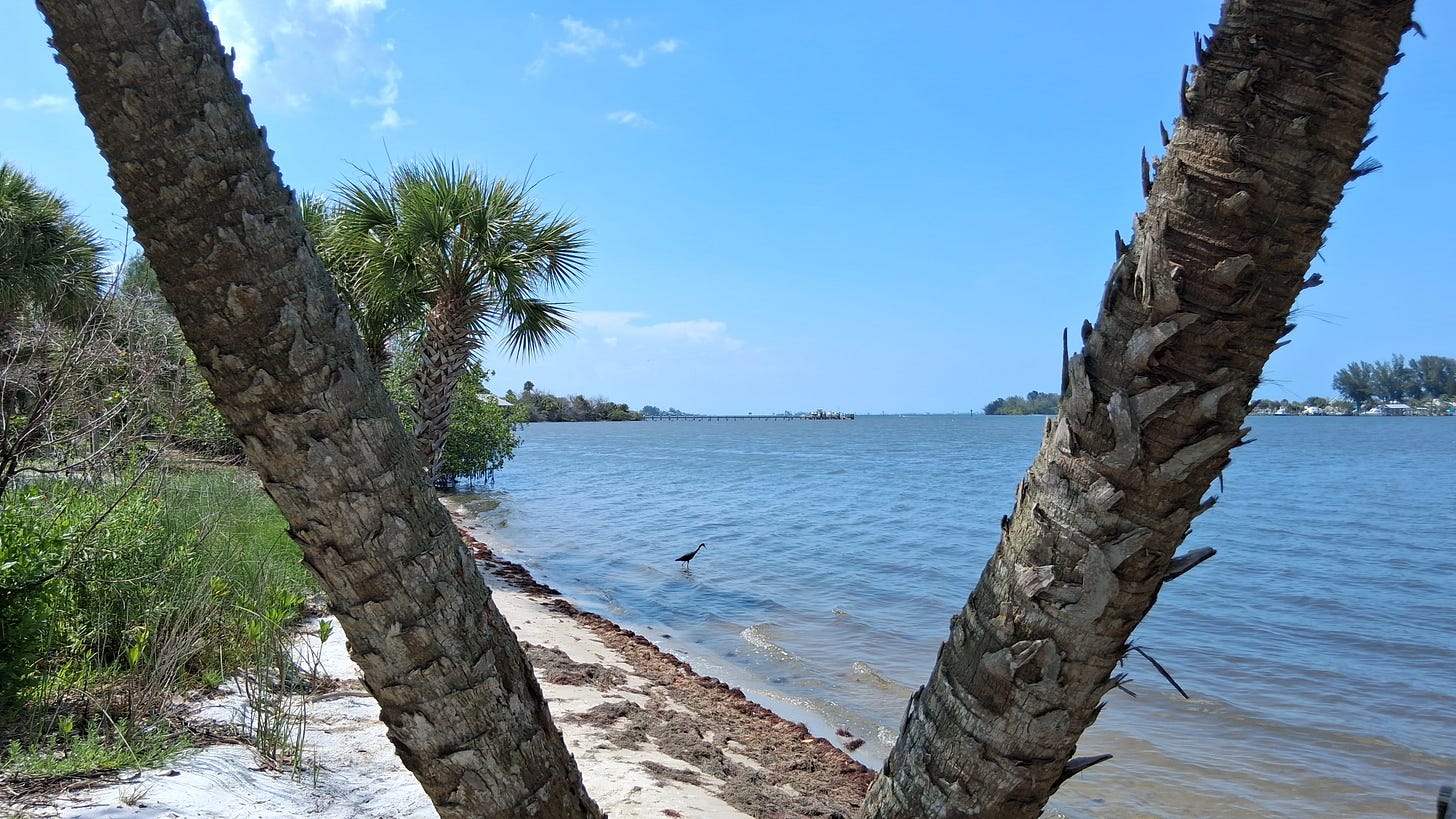 Fisherman's Landing, Grant, Florida