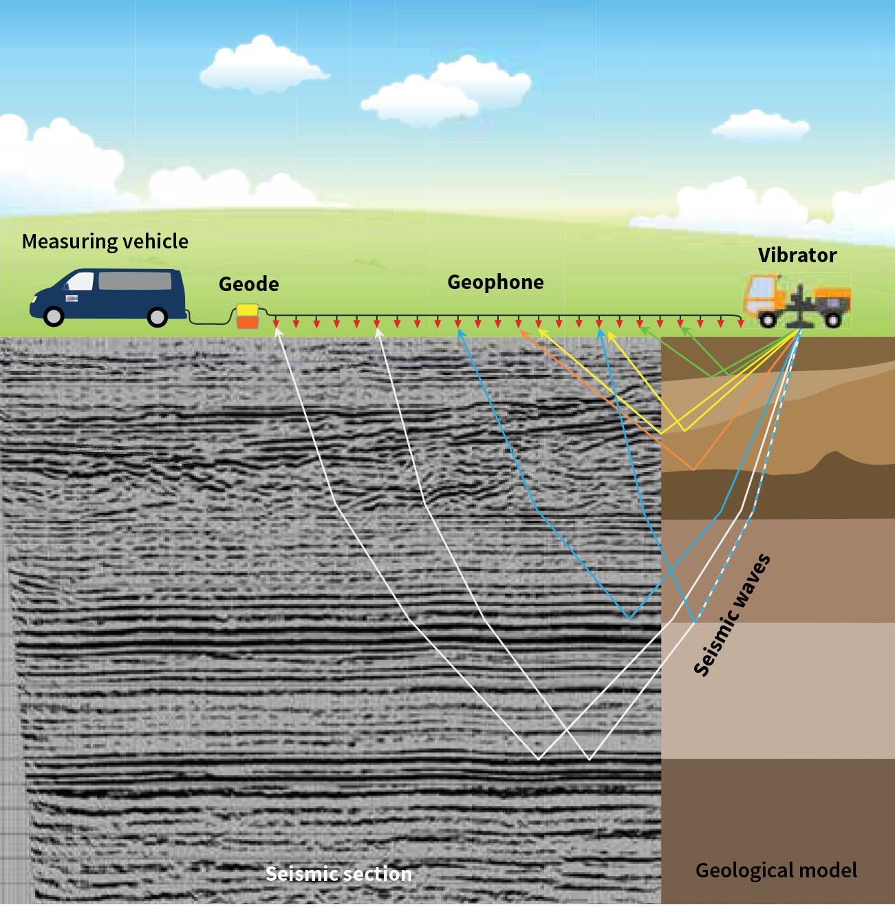 Dr Gerald Gabriel Dr Thomas Burschil - What Seismic Imaging Tells Us About  The Mysteries Of The Tannwald Basin • scientia.global
