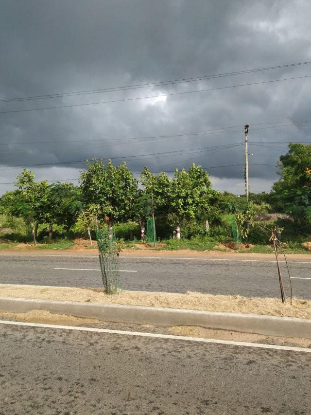 A cloudy sky with trees in front and a road. A cloudy sky with trees in front and a road.