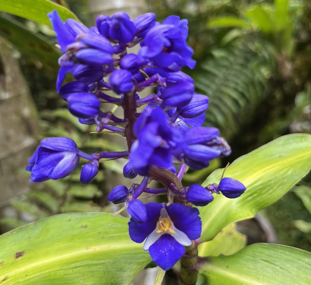 035: To Be, Or Not to Be... 035: To Be, Or Not to Be...